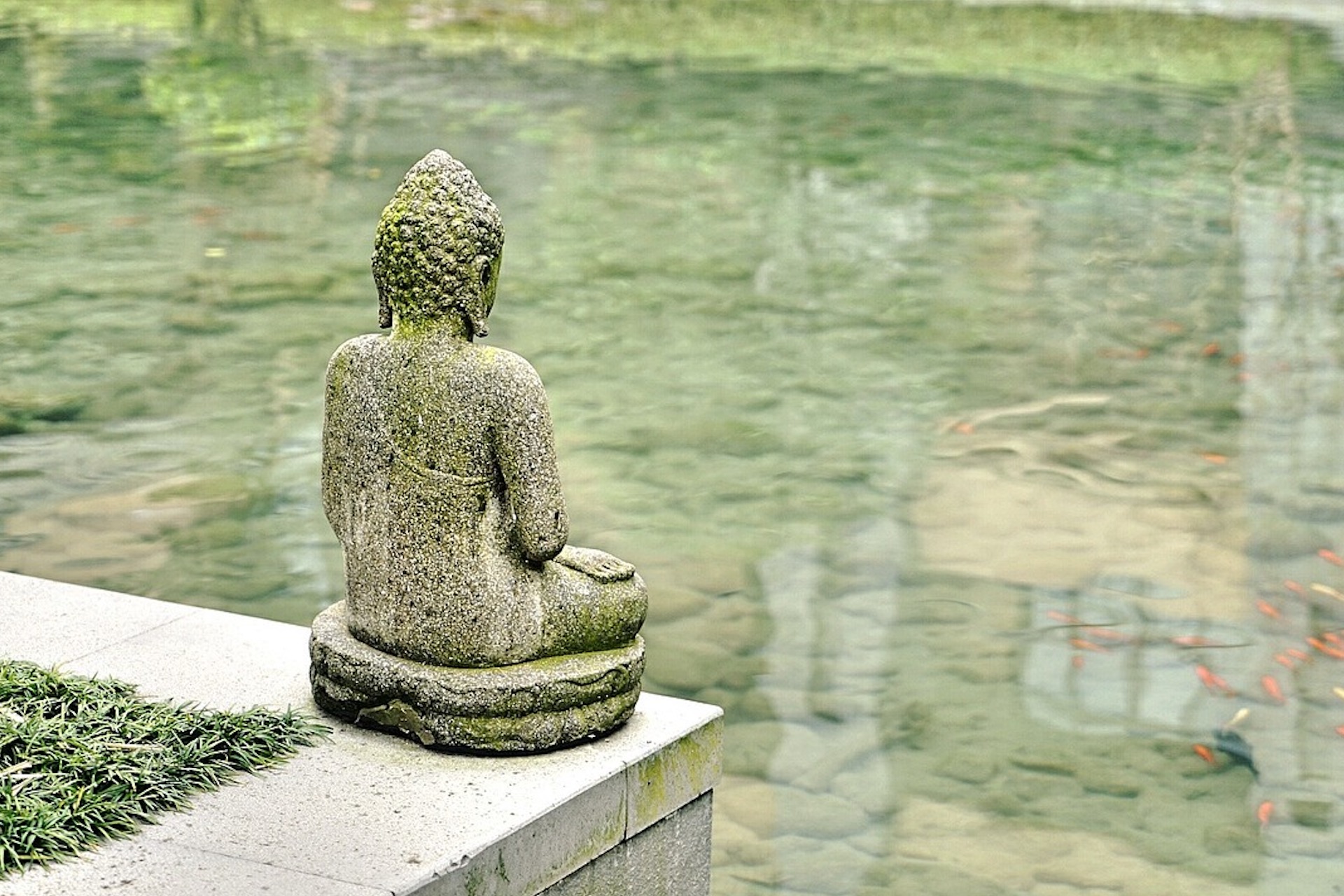 Meditationskurs_BuddhaTeich